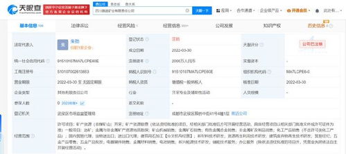 四川路橋比亞迪合資礦業(yè)公司注銷 跨界合作落幕，互聯(lián)網(wǎng)銷售模式下的礦業(yè)轉(zhuǎn)型反思